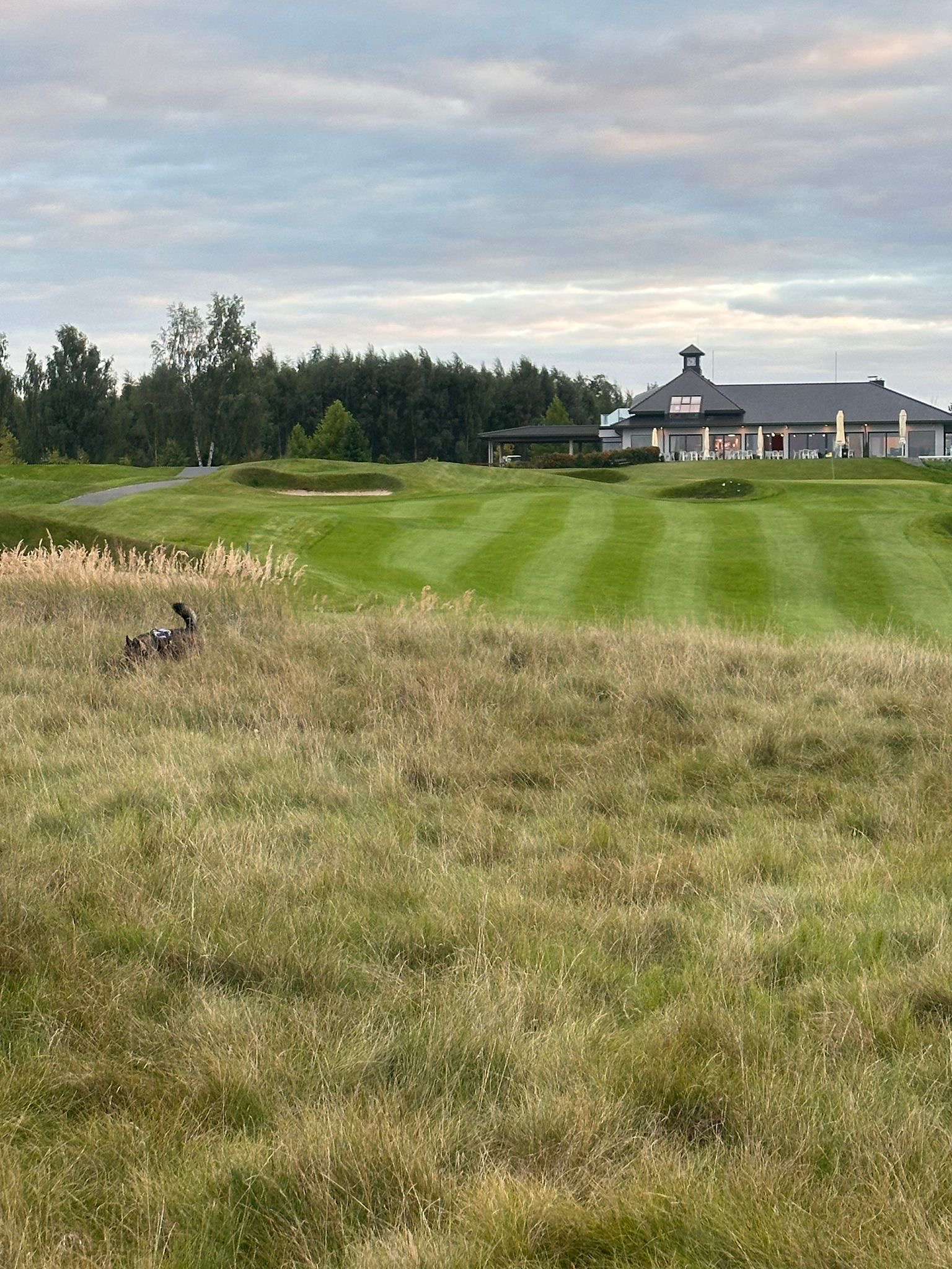 Golf za granicą - wyjazd z PGA Professional Kotowski